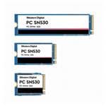 SDBPMPZ-256G