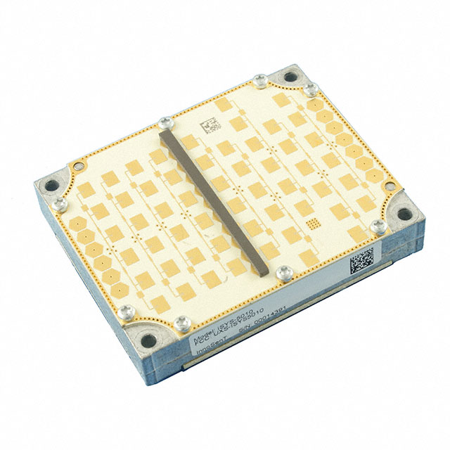 ISYS-5010