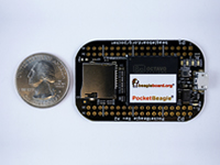 POCKETBEAGLE