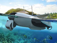 POWERDOLPHIN