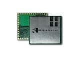 RS9110-N-11-03